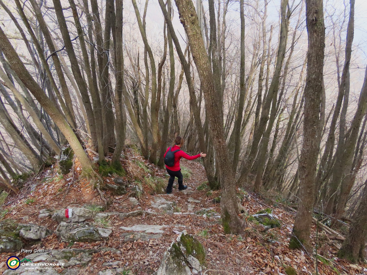 67 Scendiamo al Roccolo della Passata dal ripido sentiero 571.JPG